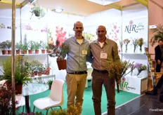 Asaf and Nitzan Nir of Nir Nursery. Asaf is holding the new Everflower wax. This variety can flower year doing. It is a line if varieties, 6 varieties in pink and purple. Soon they hope to add a white one. Nitzan is holding Rey.